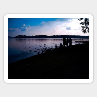 Lake silhouette family with duck and swan photography Sticker